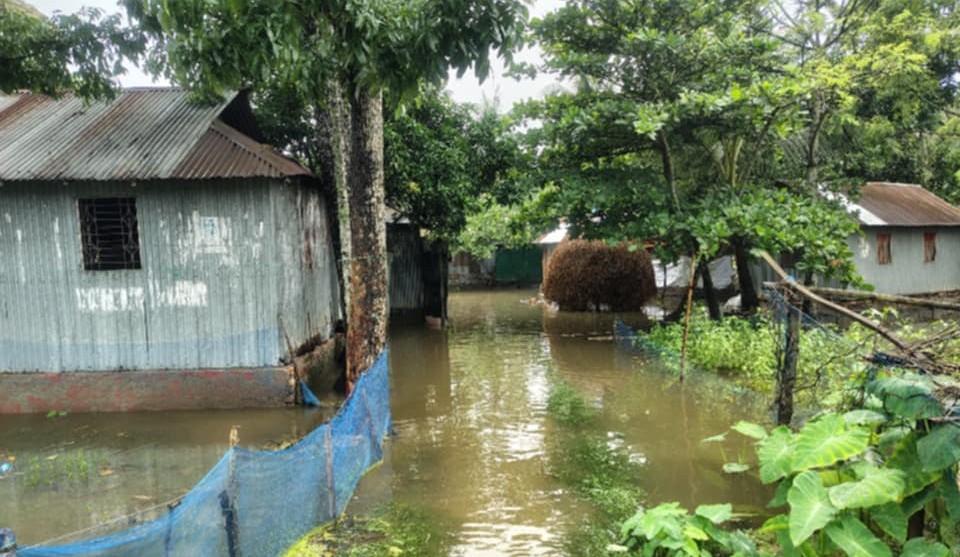 বৃষ্টি হলেই পানি জমে বসতঘর-আঙিনায়, নতুন আতঙ্ক সাপ দুর্ভোগে অর্ধশতাধিক পরিবার 