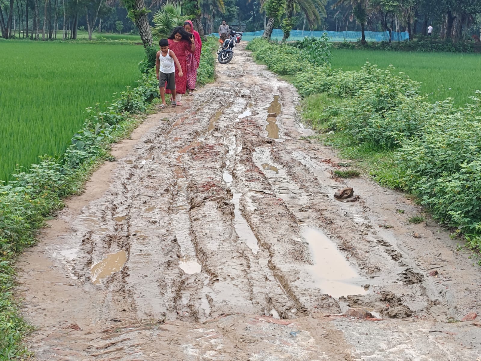 ভালুকায় ১.২১ কিলোমিটার কাঁচা রাস্তা পাকাকরণের দাবি এলাকাবাসীর 